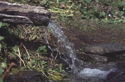 Permet de se rendre sur une image en cliquant