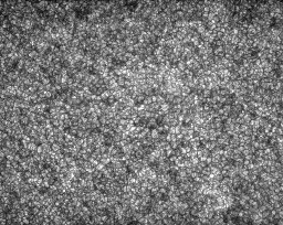 Permet de se rendre sur une image en cliquant