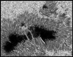 Permet de se rendre sur une image en cliquant