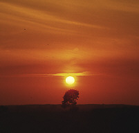 Permet de se rendre sur une image en cliquant