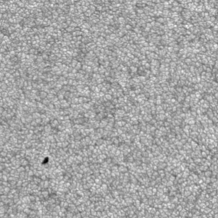 FeI 5250 longitudinal magnetic fields