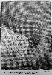 cliquez ici pour voir l'image (C11b.jpg)