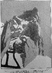 cliquez ici pour voir l'image (C12b.jpg)