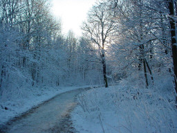 Permet de se rendre sur une image en cliquant