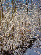 Permet de se rendre sur une image en cliquant